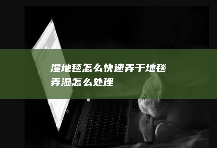 湿地毯怎么弄干地毯弄湿怎么处理