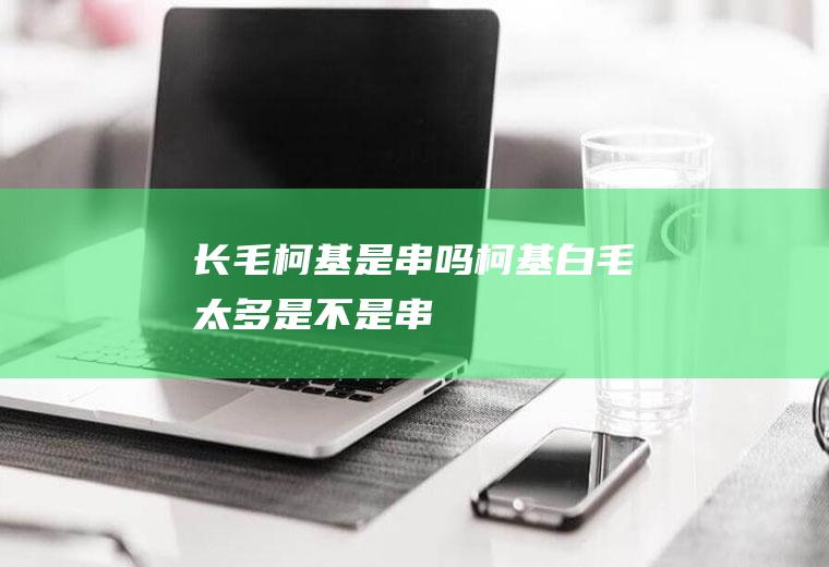 长毛柯基是串吗(柯基白毛太多是不是串)