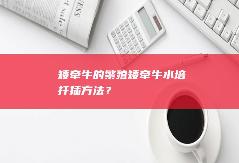 矮牵牛的繁殖,矮牵牛水培扦插方法？