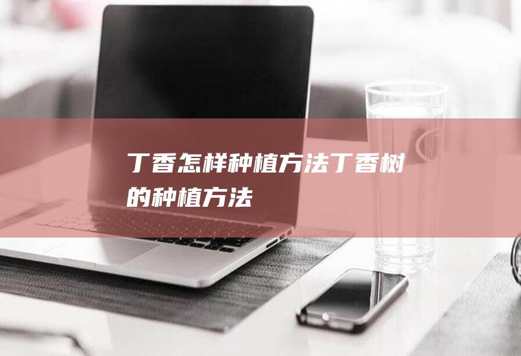 丁香怎样种植方法(丁香树的种植方法)