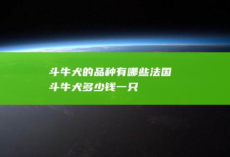 斗牛犬的品种有哪些(法国斗牛犬多少钱一只)