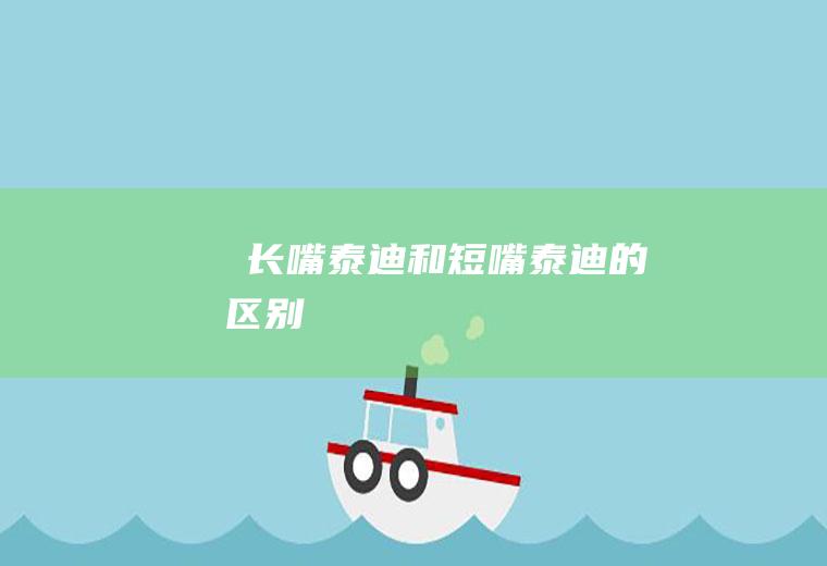 ​长嘴泰迪和短嘴泰迪的区别