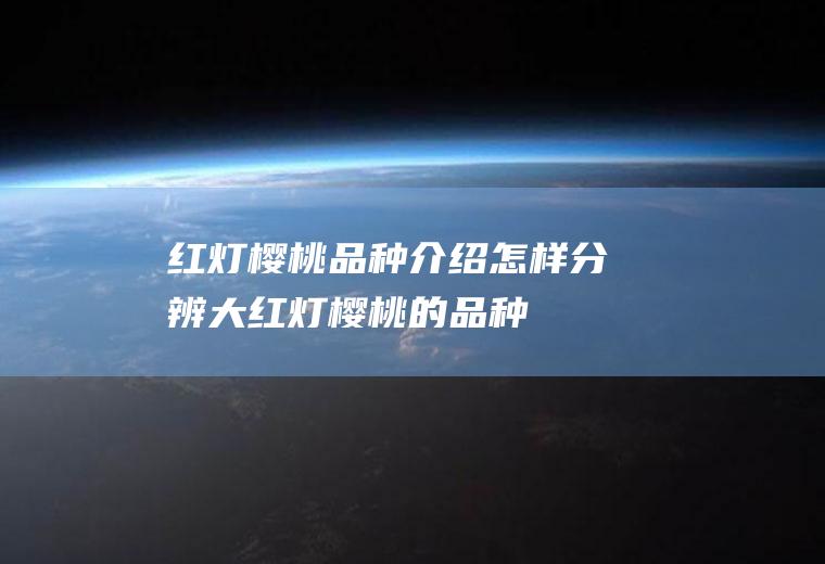 红灯樱桃品种介绍(怎样分辨大红灯樱桃的品种)