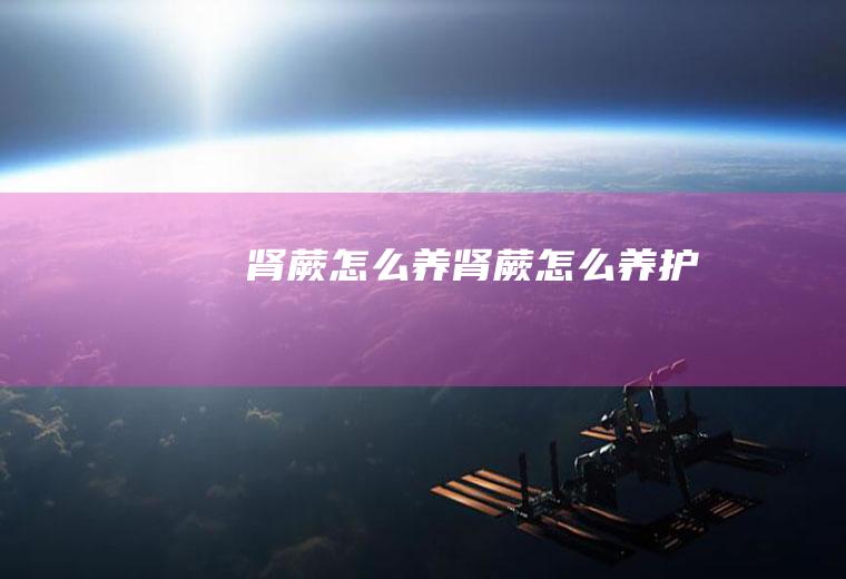肾蕨怎么养(肾蕨怎么养护)