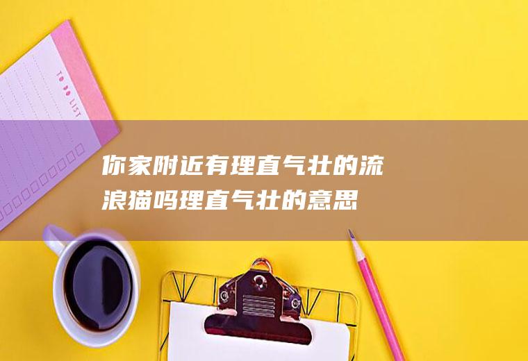 你家附近有理直气壮的流浪猫吗(理直气壮的意思是什么)