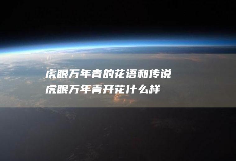 虎眼万年青的花语和传说(虎眼万年青开花什么样子的)