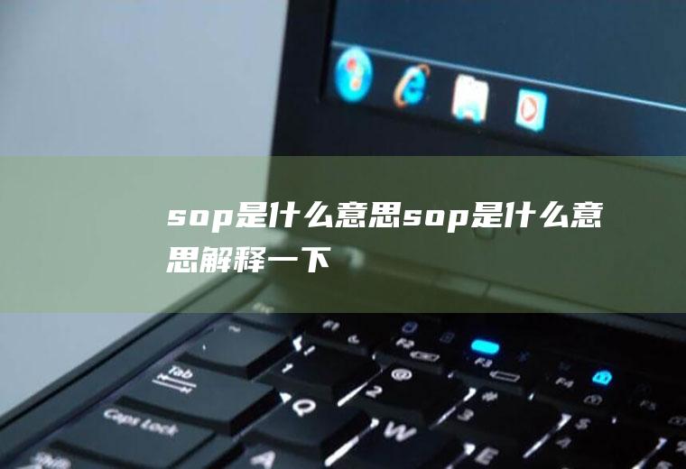 sop是什么意思(sop是什么意思解释一下)