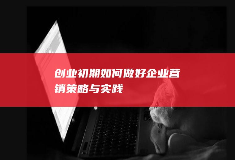 创业初期如何做好企业营销（策略与实践）