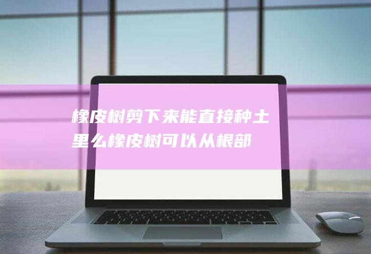 橡皮树剪下来能直接种土里么(橡皮树可以从根部剪掉吗)