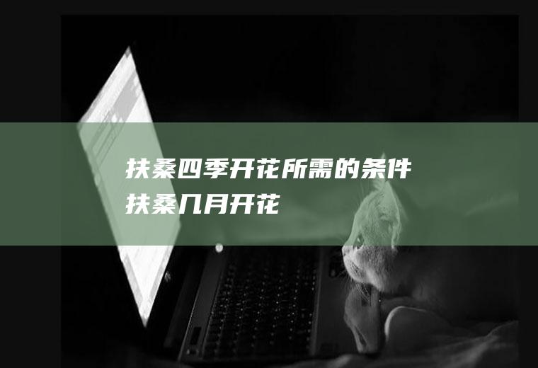 扶桑四季开花所需的条件(扶桑几月开花)