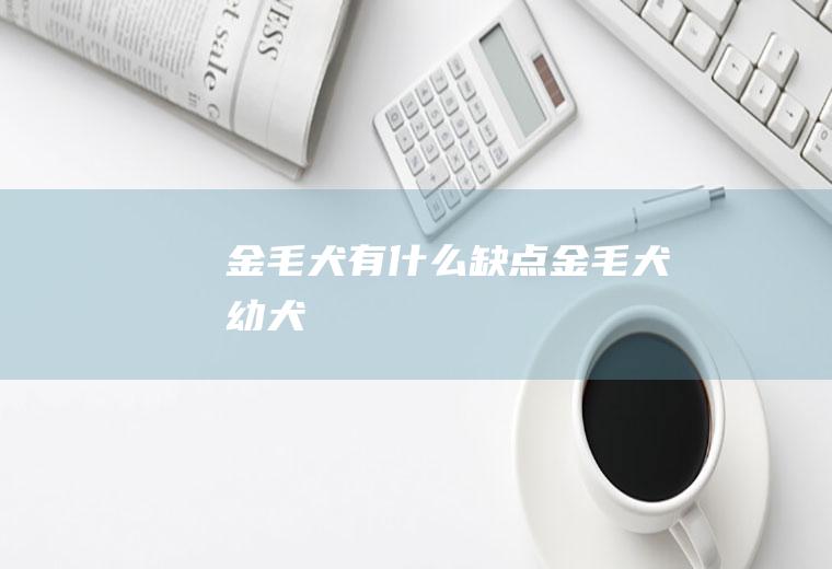 金毛犬有什么缺点(金毛犬幼犬)