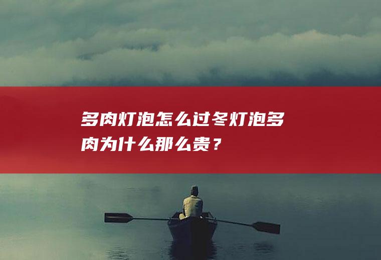 多肉灯泡怎么过冬,灯泡多肉为什么那么贵？