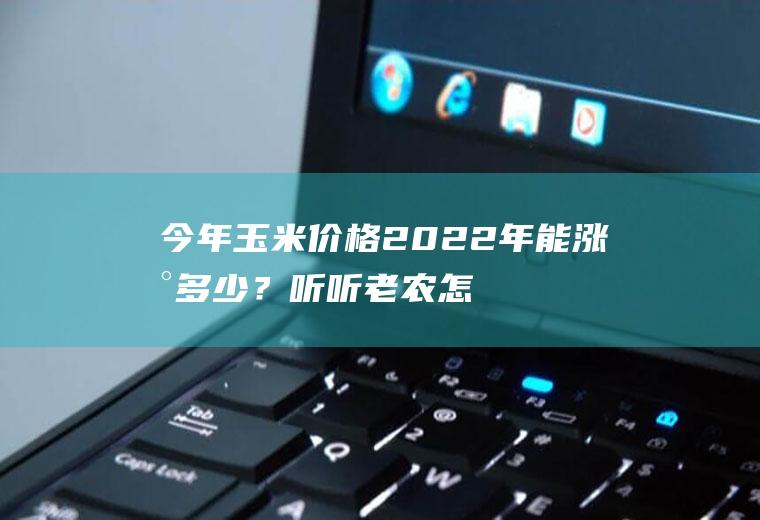 今年玉米价格2022年能涨到多少？听听老农怎么说