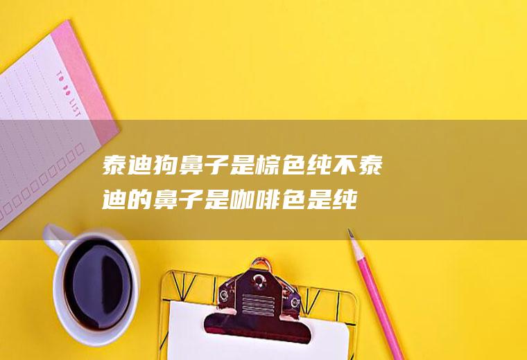 泰迪狗鼻子是棕色纯不(泰迪的鼻子是咖啡色是纯的吗)