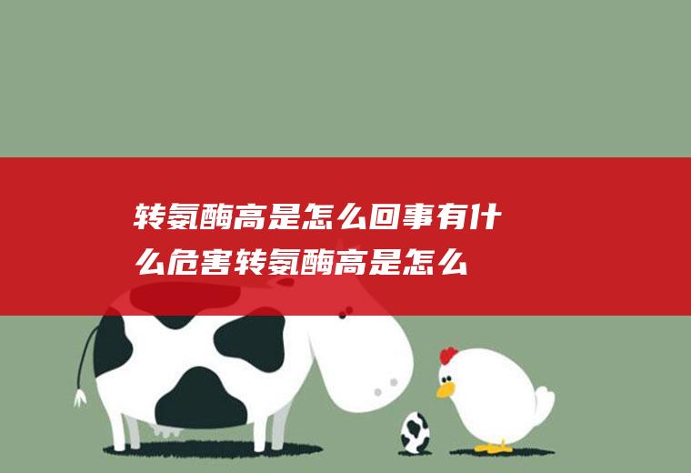转氨酶高是怎么回事有什么危害(转氨酶高是怎么回事有什么危害86要吃药吗)