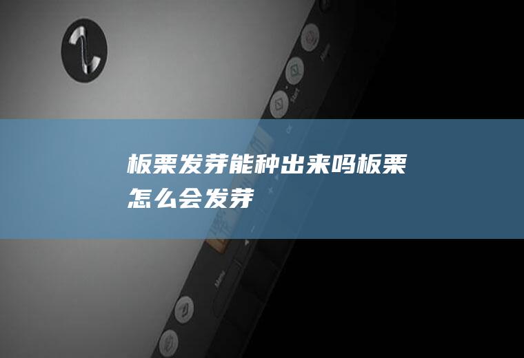 板栗发芽能种出来吗(板栗怎么会发芽)