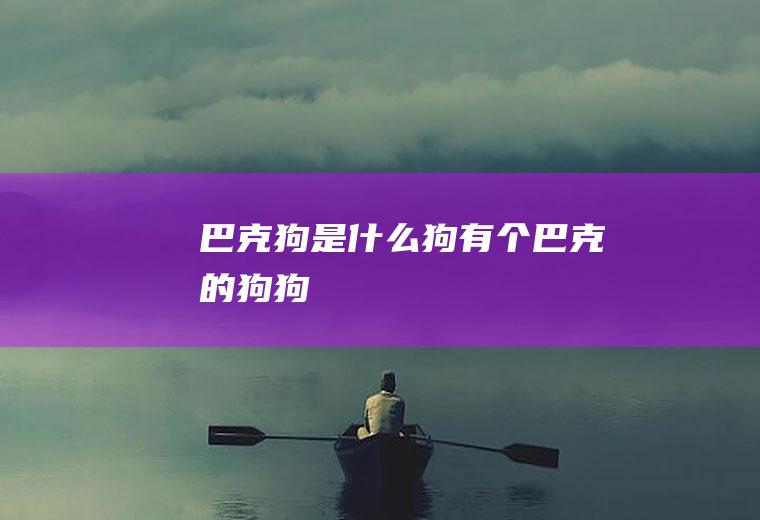 巴克狗是什么狗(有个巴克的狗狗)