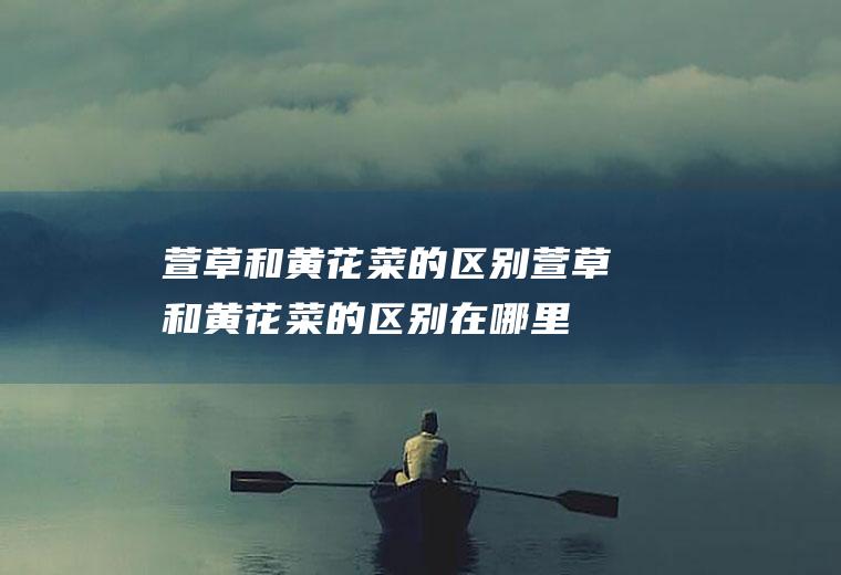 和黄的和黄的在哪里