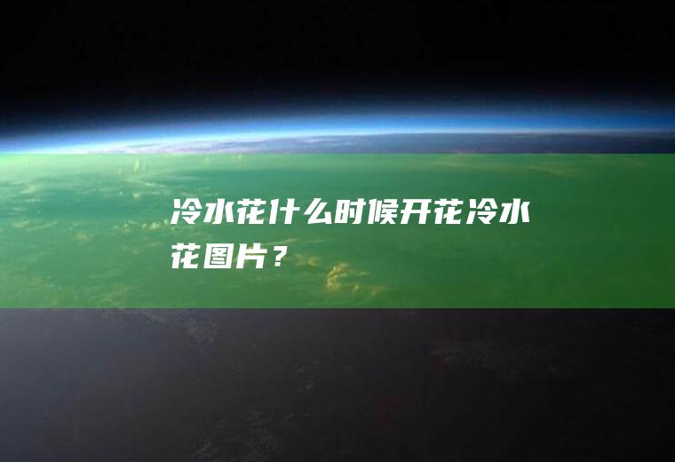 冷水花什么时候开花,冷水花图片？