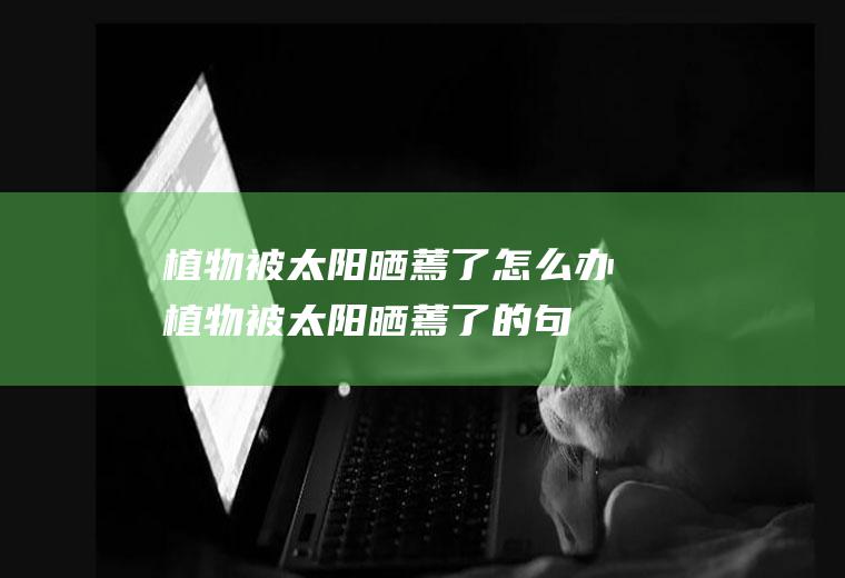植物被太阳晒蔫了怎么办(植物被太阳晒蔫了的句子)