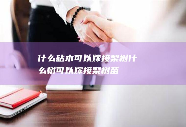什么砧木可以嫁接梨树(什么树可以嫁接梨树苗)