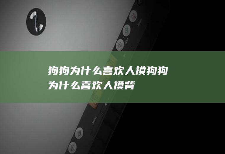 狗狗为什么喜欢人摸(狗狗为什么喜欢人摸背)
