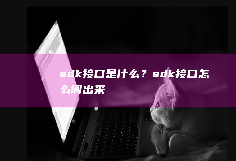 sdk接口是什么？sdk接口怎么调出来