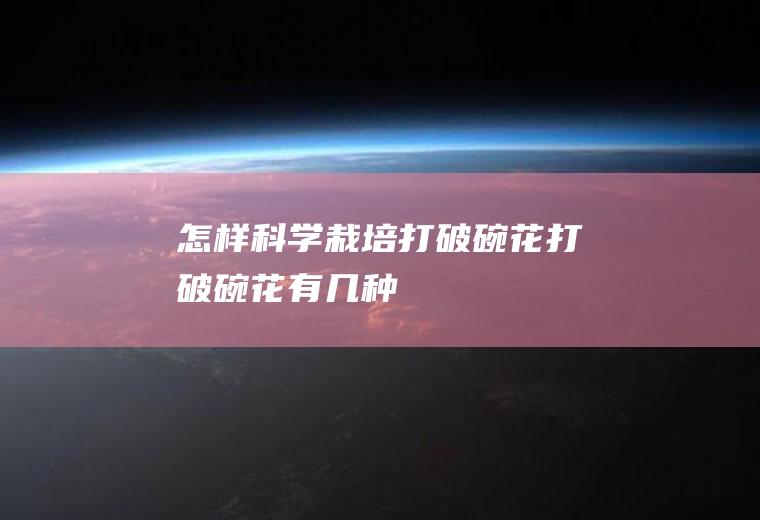 怎样科学打破碗花打破碗花有几种