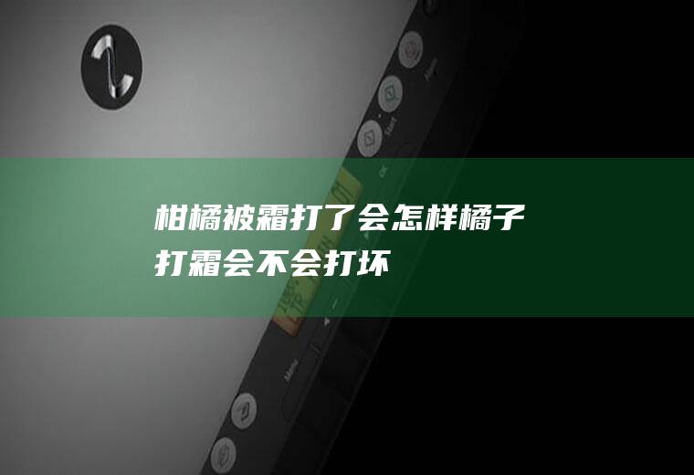 柑橘被霜打了会怎样(橘子打霜会不会打坏)