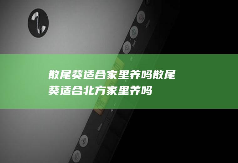 散尾葵适合家里养吗(散尾葵适合北方家里养吗)