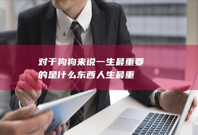 对于狗狗来说一生最重要的是什么东西(人生最重要的两样东西)