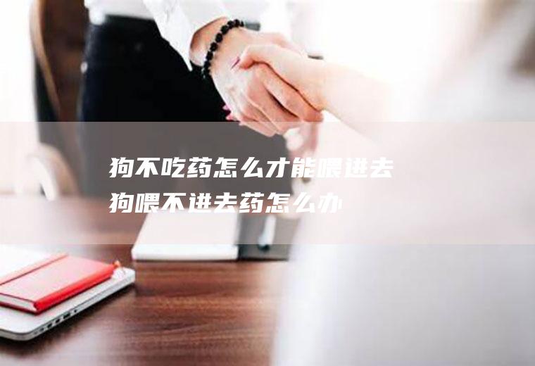 狗不吃药怎么才能喂进去(狗喂不进去药怎么办)