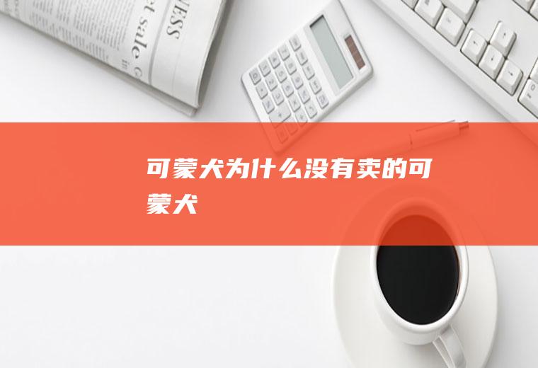 可蒙犬为什么没有卖的(可蒙犬)