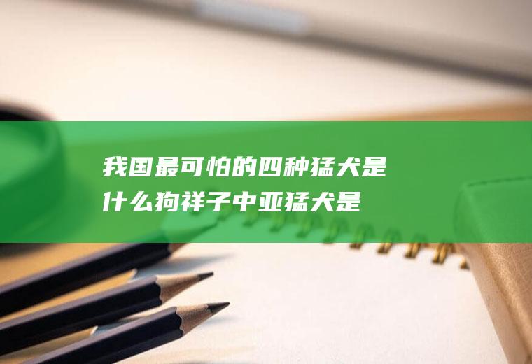 我国最可怕的四种猛犬是什么狗(祥子中亚猛犬是什么狗)