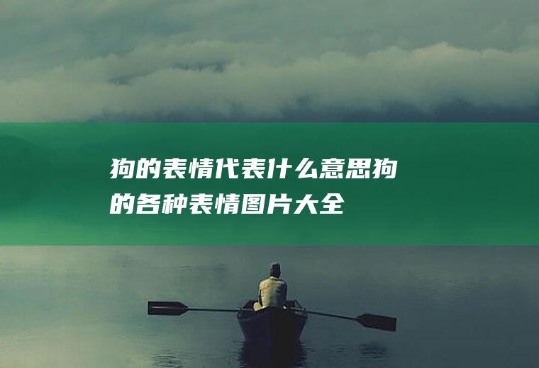 狗的表情代表什么意思(狗的各种表情图片大全)