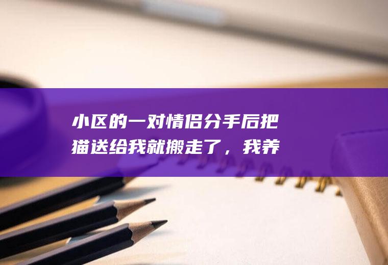 小区的一对情侣分手后把猫送给我就搬走了，我养了一个月，结果女方又突然出现要猫，我该不该给她