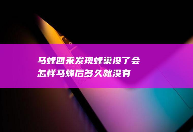 马蜂回来发现蜂巢没了会怎样(马蜂后多久就没有了)