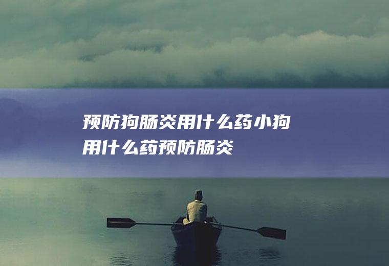 预防狗肠炎用什么药(小狗用什么药预防肠炎)