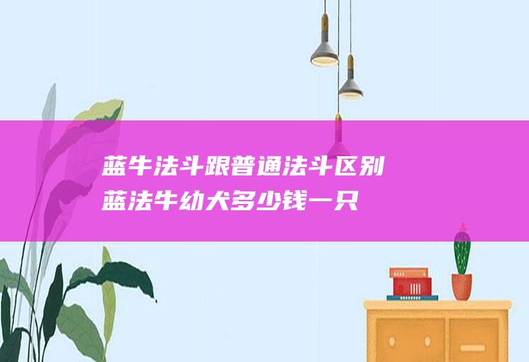 蓝牛法斗跟普通法斗区别(蓝法牛幼犬多少钱一只)