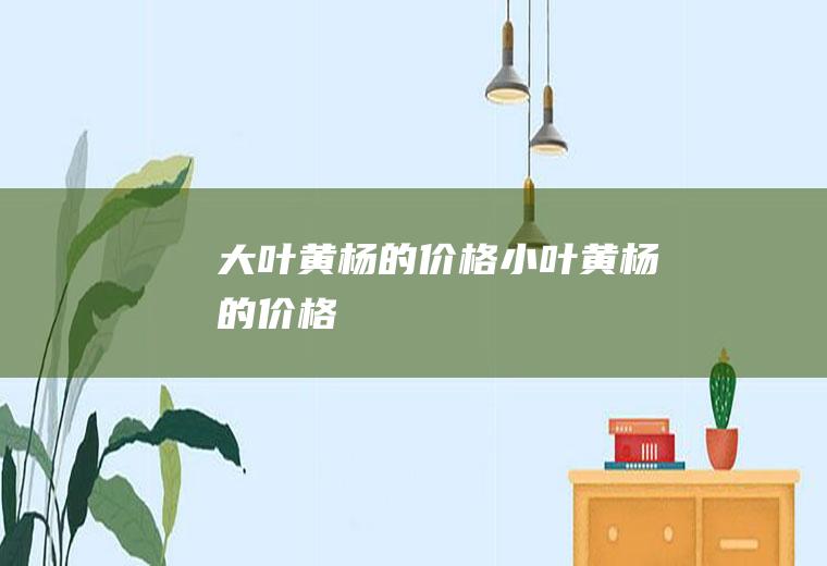 大叶黄杨的价格(小叶黄杨的价格)