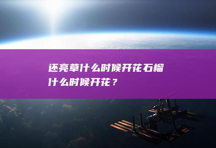 还亮草什么时候开花,石榴什么时候开花？