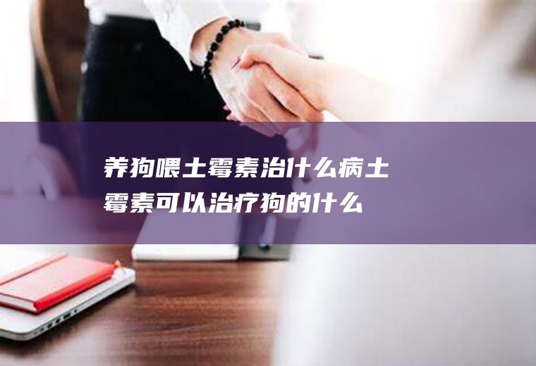 养狗喂土霉素治什么病(土霉素可以治疗狗的什么病)