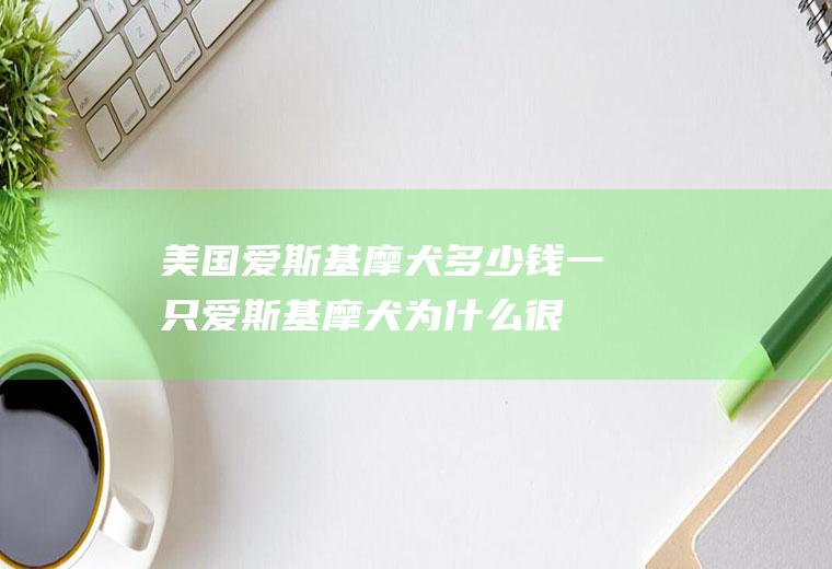 美国爱斯基摩犬多少钱一只(爱斯基摩犬为什么很少人养)