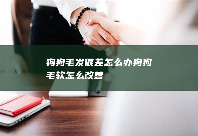狗狗毛发很差怎么办(狗狗毛软怎么改善)