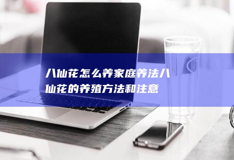 八仙花怎么养家庭养法(八仙花的养殖方法和注意事项)