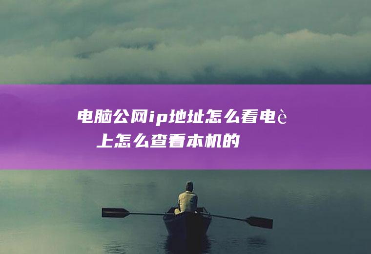 电脑公网ip地址怎么看(电脑上怎么查看本机的内网IP地址)