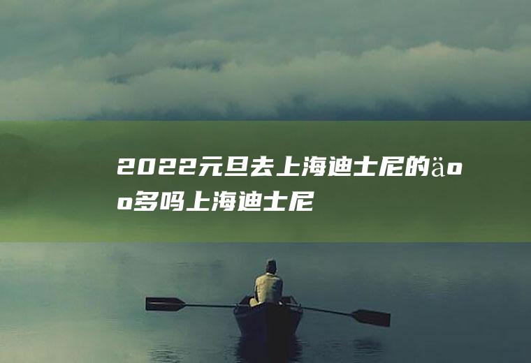 2022元旦去上海迪士尼的人多吗(上海迪士尼人多吗现在2020)