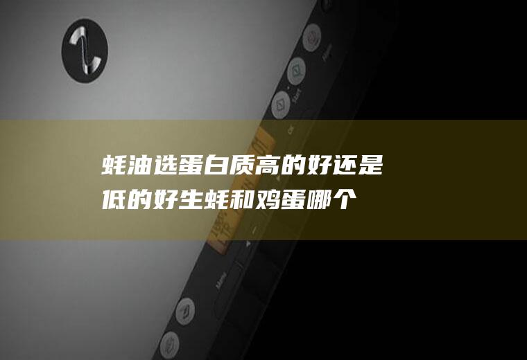 蚝油选蛋白质高的好还是低的好(生蚝和鸡蛋哪个蛋白质高)