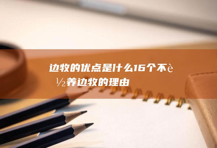 边牧的优点是什么(16个不能养边牧的理由)
