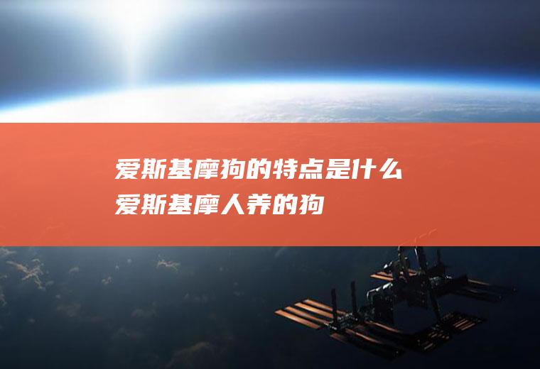 爱斯基摩狗的特点是什么(爱斯基摩人养的狗)